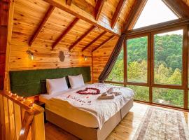 Şifaköy Bungalov, hotel a Sapanca