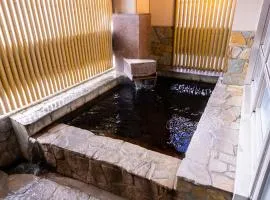 Natural Hot Spring Ariston Hotel Oita