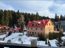 Bakuriani - Eko Village 20 apartment with a kitchen