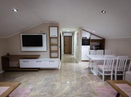 Vila Sofija Banja Vrujci, ξενοδοχείο σε Gornja Toplica