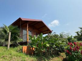 Villa Lomas Sarapiquí, hotel in Colonia Carvajal