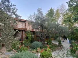 Pavelin Yeri Otel