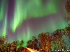 Lodge Suites at Susitna River Lodge