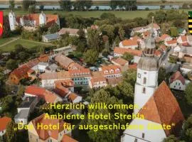 Ambiente Hotel Strehla