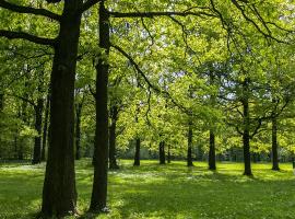 Grama, hotel v destinaci Cinquera