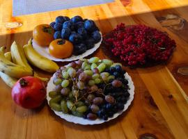 Гостевой дом, hotel in Lenīnogorsk