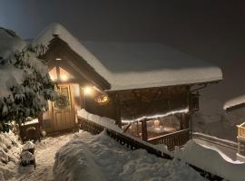 Chalet Rayon de Soleil Gryon Villars, ξενοδοχείο σε Gryon