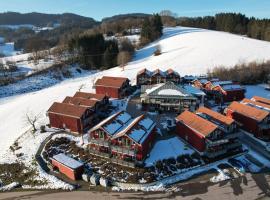 Village Hotel Bayerischer Wald，Neukirchen的飯店