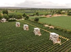 Agrelo Vines Lodge