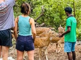 Nehansa Resort and safari
