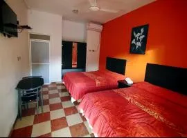 Hotel San Pedro