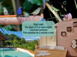 Cabañas del Rio, hotel in Fortuna