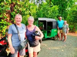 Monkey Jungle Cottage