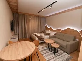 Apartman D342 Aparthotel Vucko Jahorina privat apartman