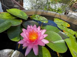 Lotus Garden - Île de la Réunion, Hotel in Ravine des Cabris