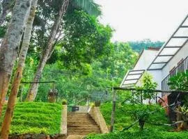 Dhighayu Ayurvedic Wellness Resort