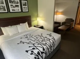 Sleep Inn & Suites Conference Center Eau Claire North