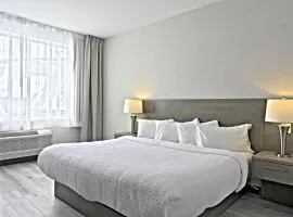 Repotel Levis