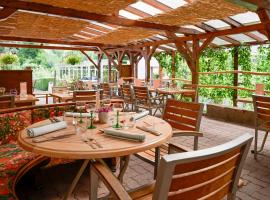 Logis Hotel Restaurant Le Faudé, hotel in Lapoutroie