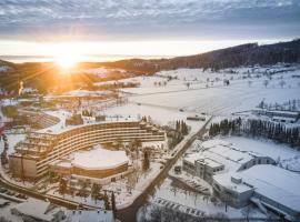 Sauerland Stern Hotel, hotel v destinaci Willingen