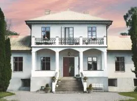 Grå Gåsen