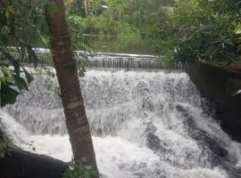 Alankulama Wana Resort