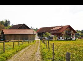 Ferienhof Hölzler、シャイデックのホテル