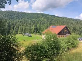 Domaine Des Hauts Viaux