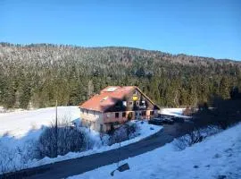 Domaine Des Hauts Viaux