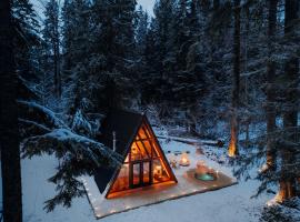 Lafa Cabin - Luxe A Frame Retreat with Hot Tub, Sauna, Firepit- 5 Min to Mt Rainier, ξενοδοχείο σε Ashford