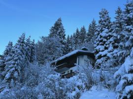 Chalet Dagmar, hotel in Klosters