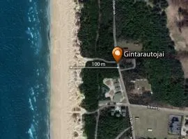 Gintarautojai