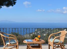 Zdjęcie hotelu: Le Ginestre di Capri BB & Holiday House