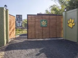 PantherOn Lodge, Bandhavgarh, India