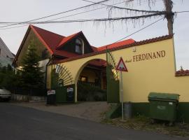 Фотография гостиницы: Hotel Ferdinand