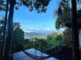 Chestnut Hill Eco Resort