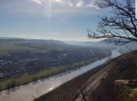 Vacation home Moselsteg, Hotel in Brauneberg