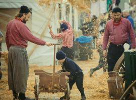 Gastenverblijf de paddestoel, hotel en Urk