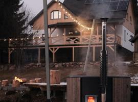 Mountain Air Lodge, hotel in Izvoru Mureşului