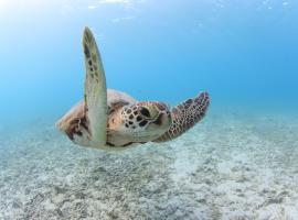 Tokashiku Marine Villege, Hotel in Tokashiki