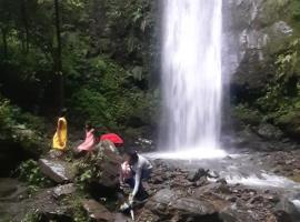 Pine hills nature camp, hotel in Shimla