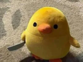 Hggh