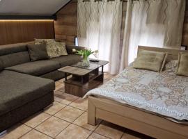 Guest House Maja, hotel v destinaci Novi Sad