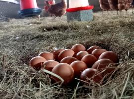 Jackie's Farm House, hotel v destinaci Ooster