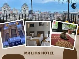 Mr Lion Kumkapı Otel