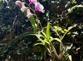 Casa da 17 - Lago Sul, מלון בברזיליה