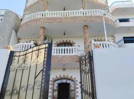 Mena Palace Nile View