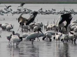 CROOКED TREE LODGE Belize