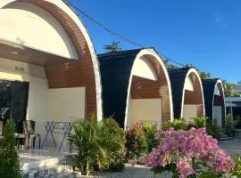 Hotel Villa Beach Transit 2 & Whaleshark Tour