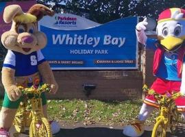 88 Elm Walk, hotel in Newcastle upon Tyne